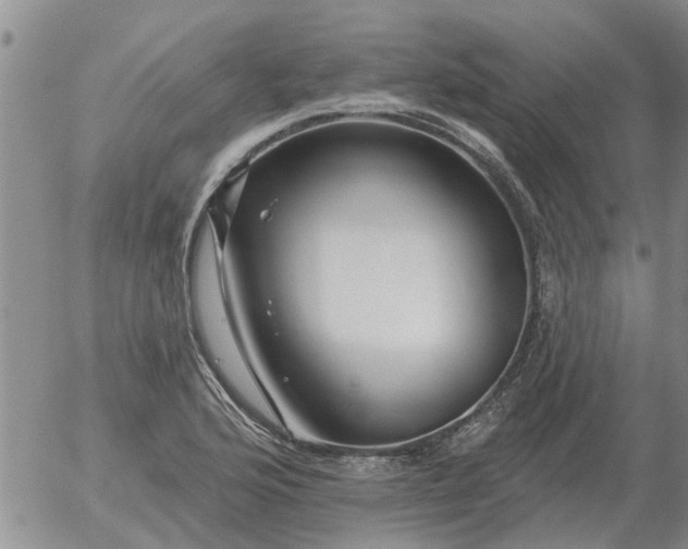 X0000055521176200509022116