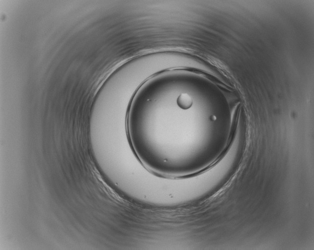 X0000055521177200509022116