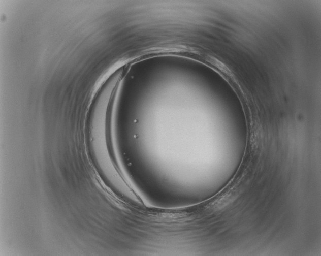 X0000055521179200509022116