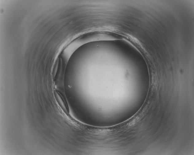 X0000055521184200509022116