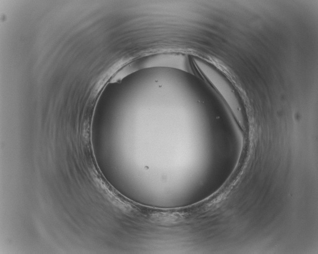 X0000055521185200509022116