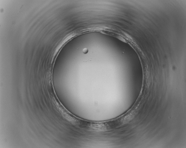 X0000055521186200509022116