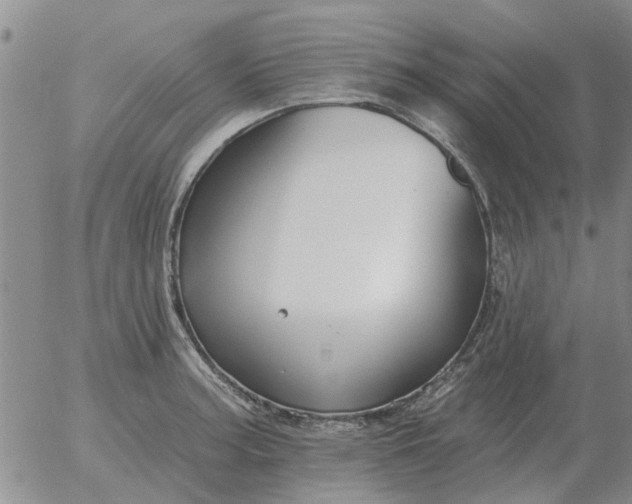 X0000055521187200509022116