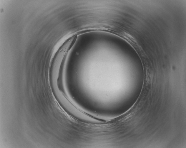 X0000055521188200509022116