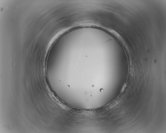 X0000055521191200509022116