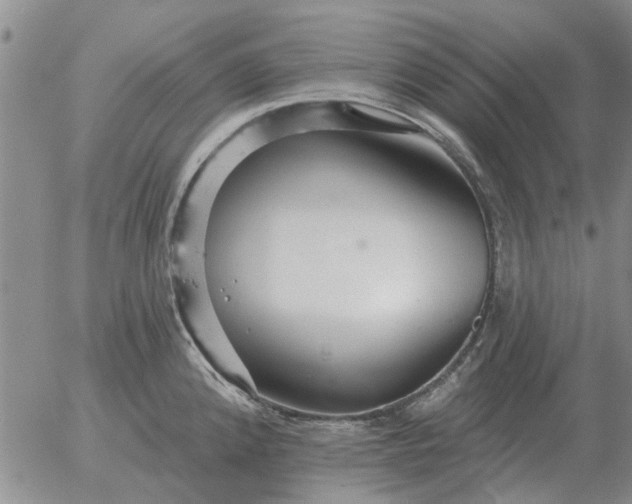 X0000055521192200509022116