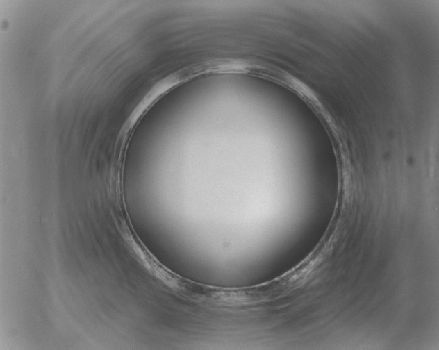 X0000055521194200509022116