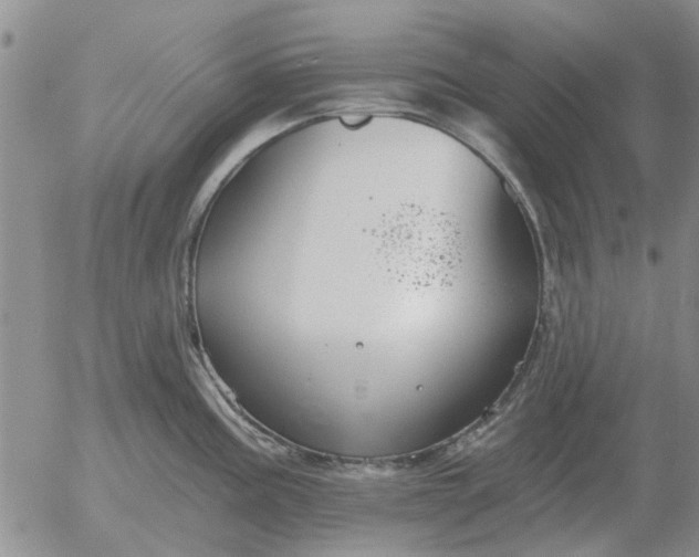 X0000055521195200509022116