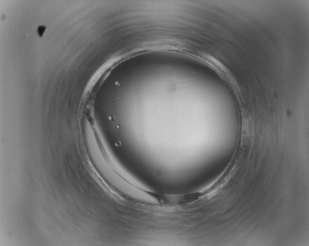 X0000055521196200509022115