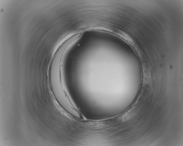 X0000055521198200509022115