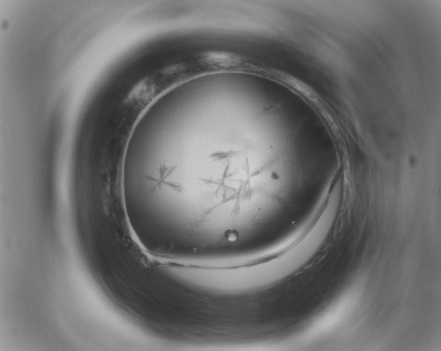 X0000055521199200509022115