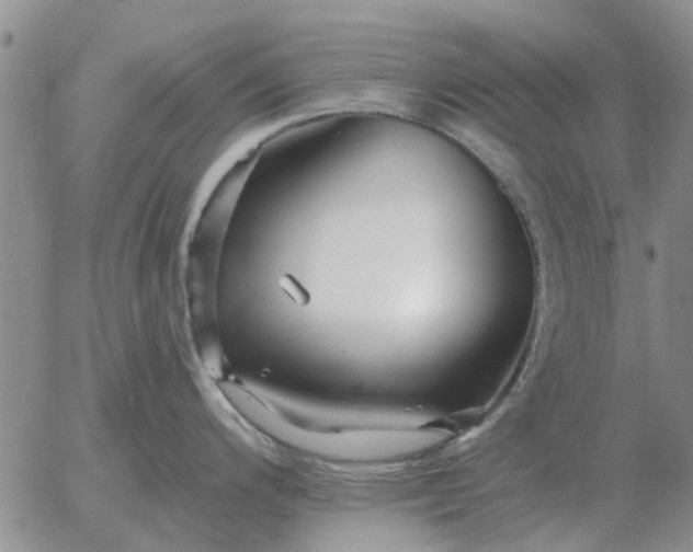 X0000055521200200509022115