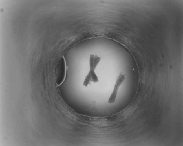 X0000055521201200509022115