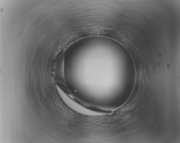 X0000055521202200509022115