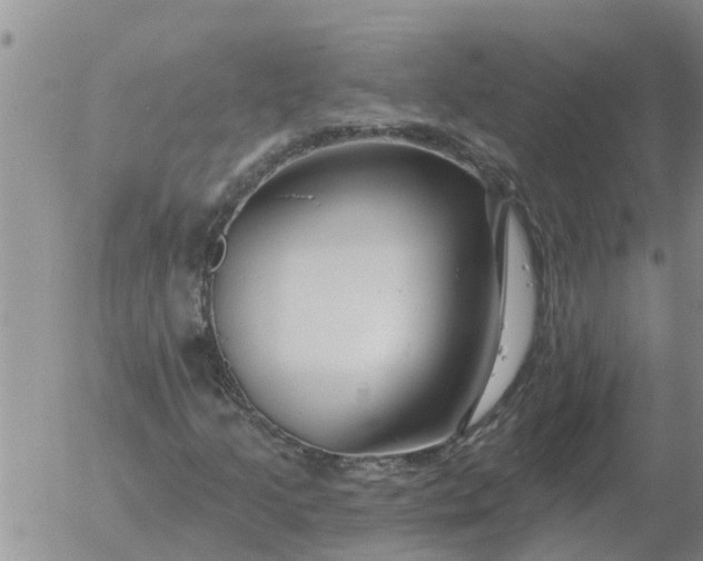 X0000055521205200509022115