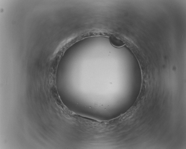 X0000055521207200509022115