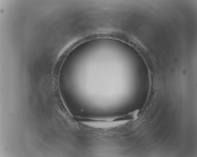 X0000055521208200509022115