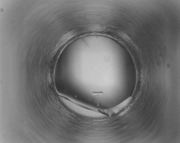 X0000055521209200509022115