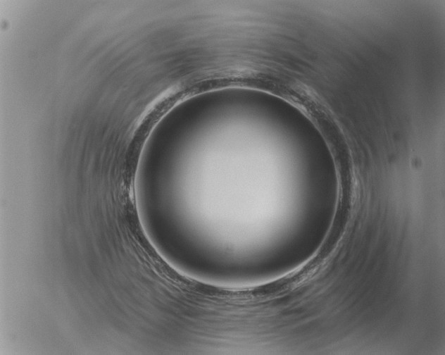 X0000055521210200509022115