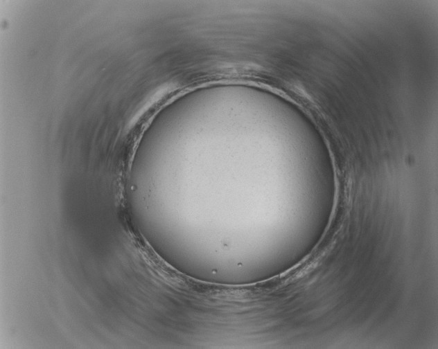 X0000055521211200509022115