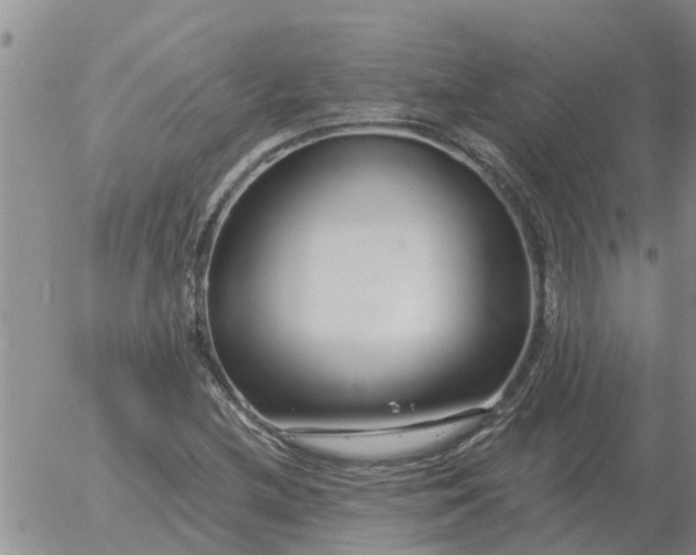 X0000055521212200509022115