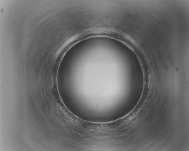 X0000055521213200509022115