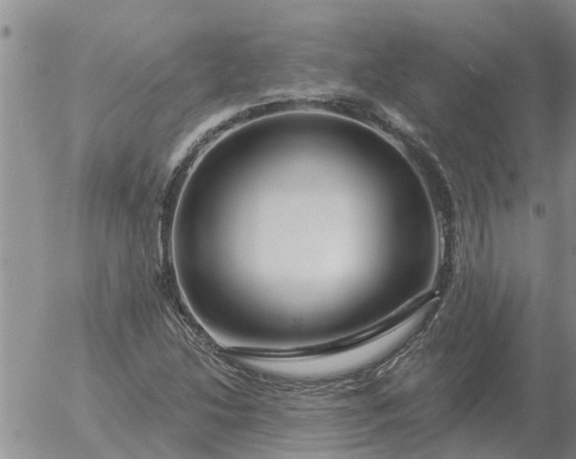 X0000055521214200509022115