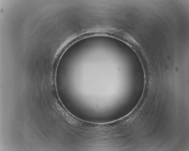 X0000055521216200509022115