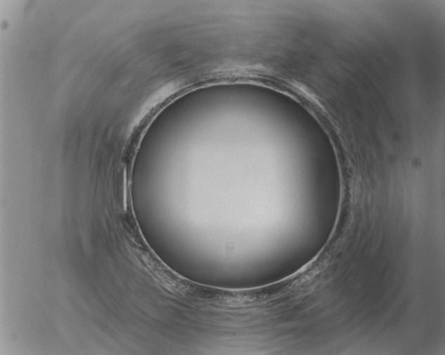 X0000055521219200509022115