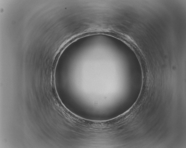 X0000055521220200509022115