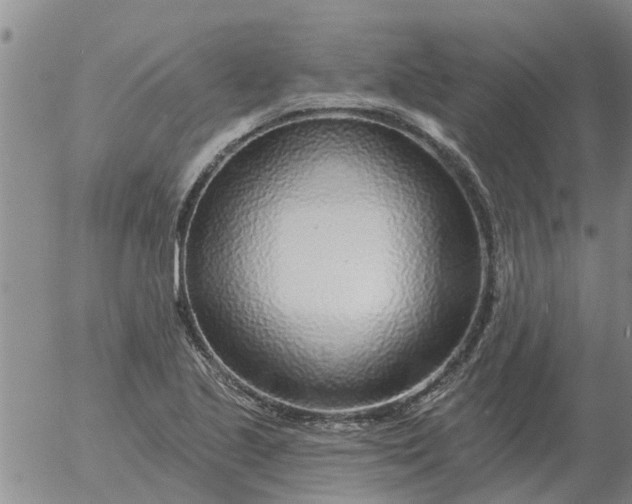 X0000055521221200509022115