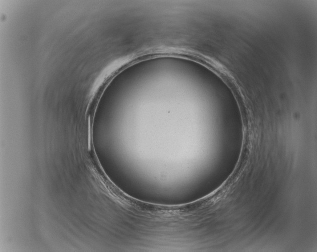 X0000055521223200509022115