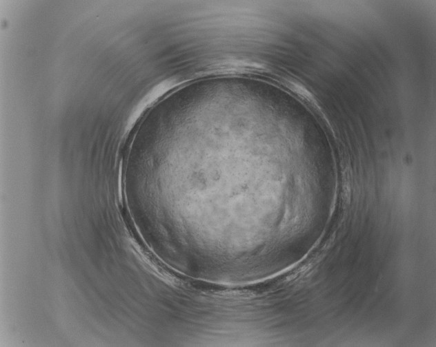 X0000055521227200509022115