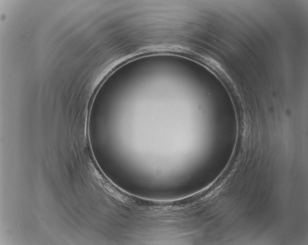 X0000055521228200509022115