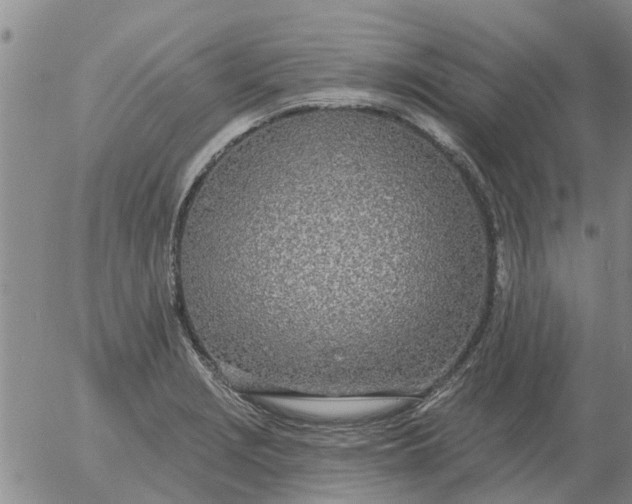 X0000055521229200509022115