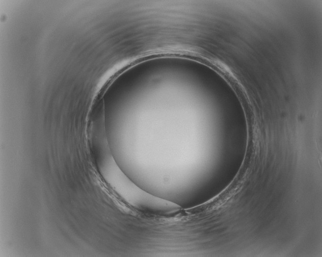 X0000055521230200509022115