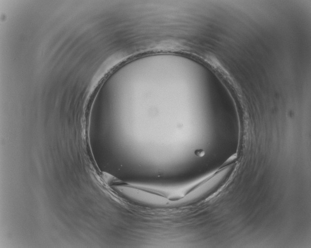 X0000055521232200509022115