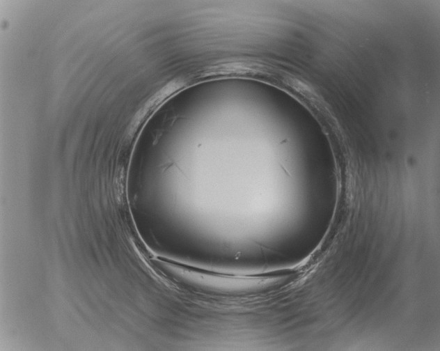 X0000055521233200509022115