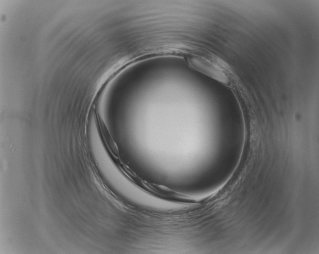 X0000055521234200509022115