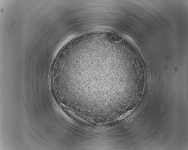 X0000055521235200509022115