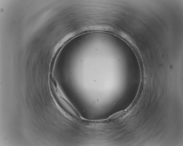 X0000055521237200509022115