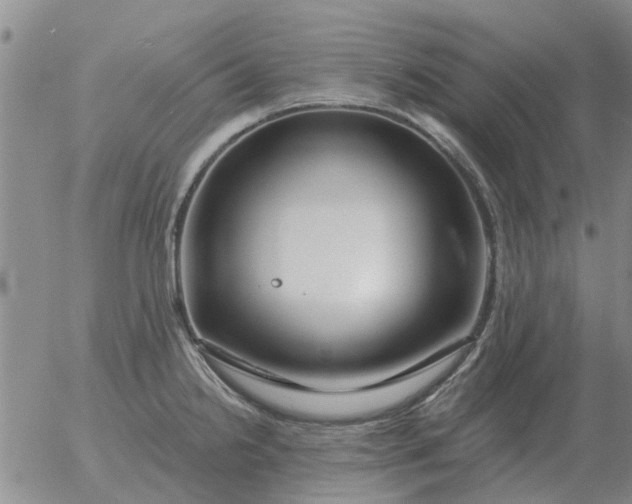 X0000055521238200509022115