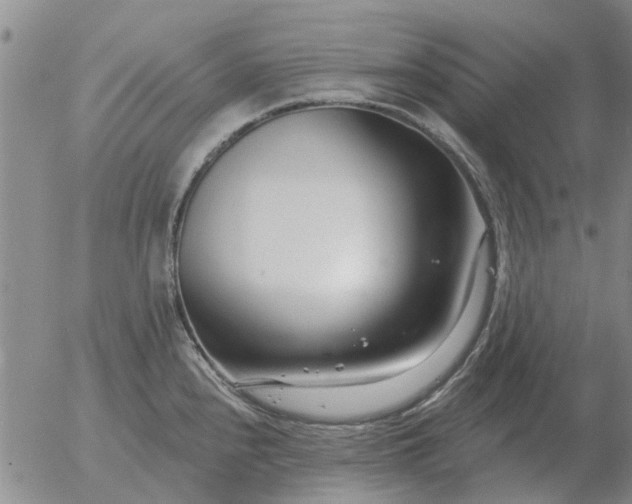 X0000055521240200509022115