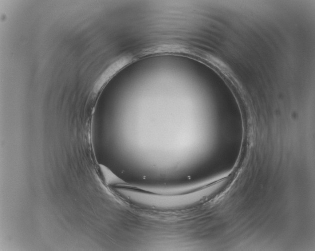 X0000055521241200509022115