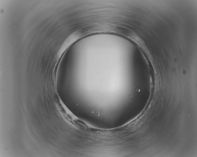 X0000055521242200509022115