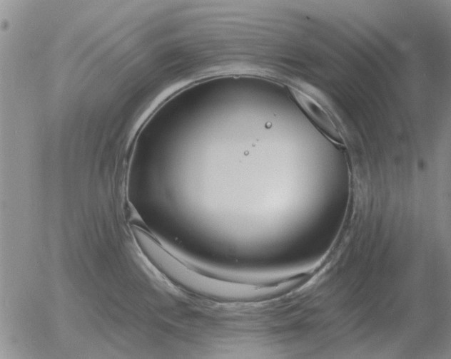 X0000055521244200509022115