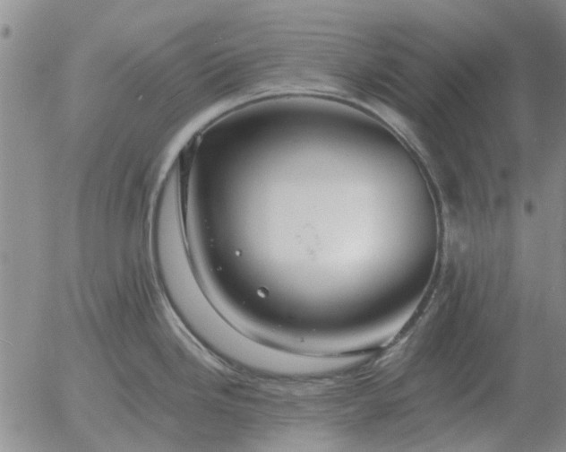 X0000055521246200509022115