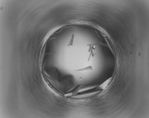 X0000055521247200509022115