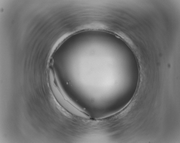 X0000055521248200509022115