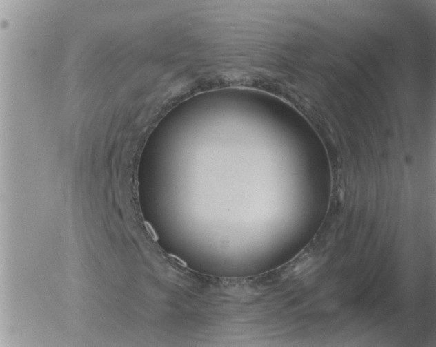 X0000055521249200509022115